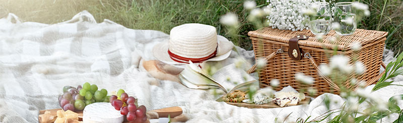 Cheese-Picnic Cheese Picnic, Virginia Hayward,