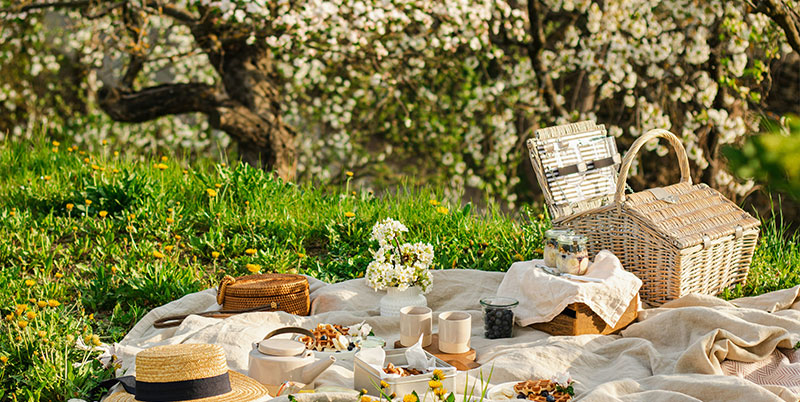 Spring-Picnic Spring Picnic, Virginia Hayward,