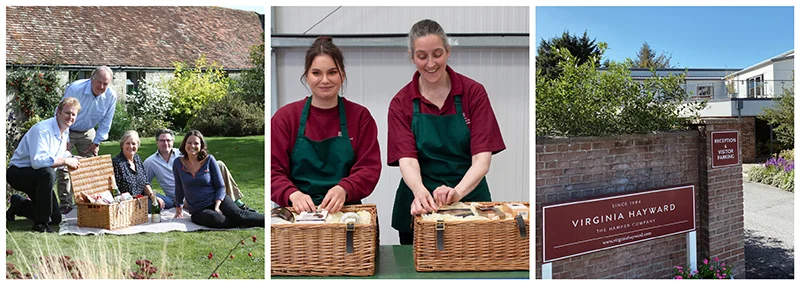 image-Virginia-hayward copy image Virginia hayward copy, Virginia Hayward,