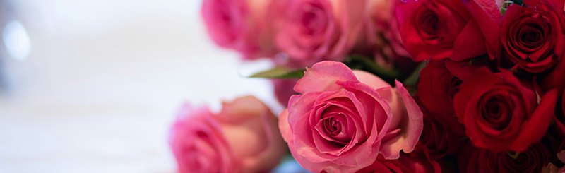 roses